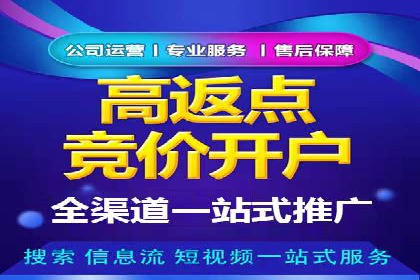 关键词竞价排名案例解析与启示